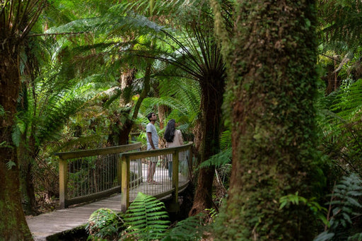Autopia Tours: Great Ocean Road To Grampians 2 Day 