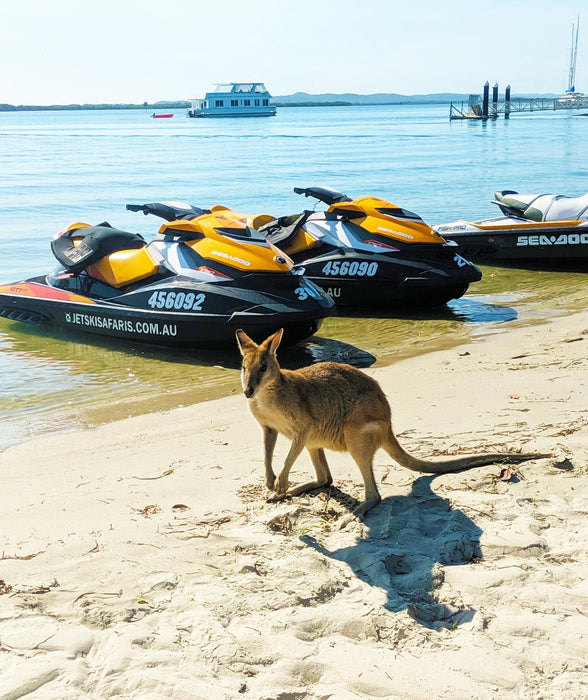 1.5 Hour Jet Ski Safari - We Wander