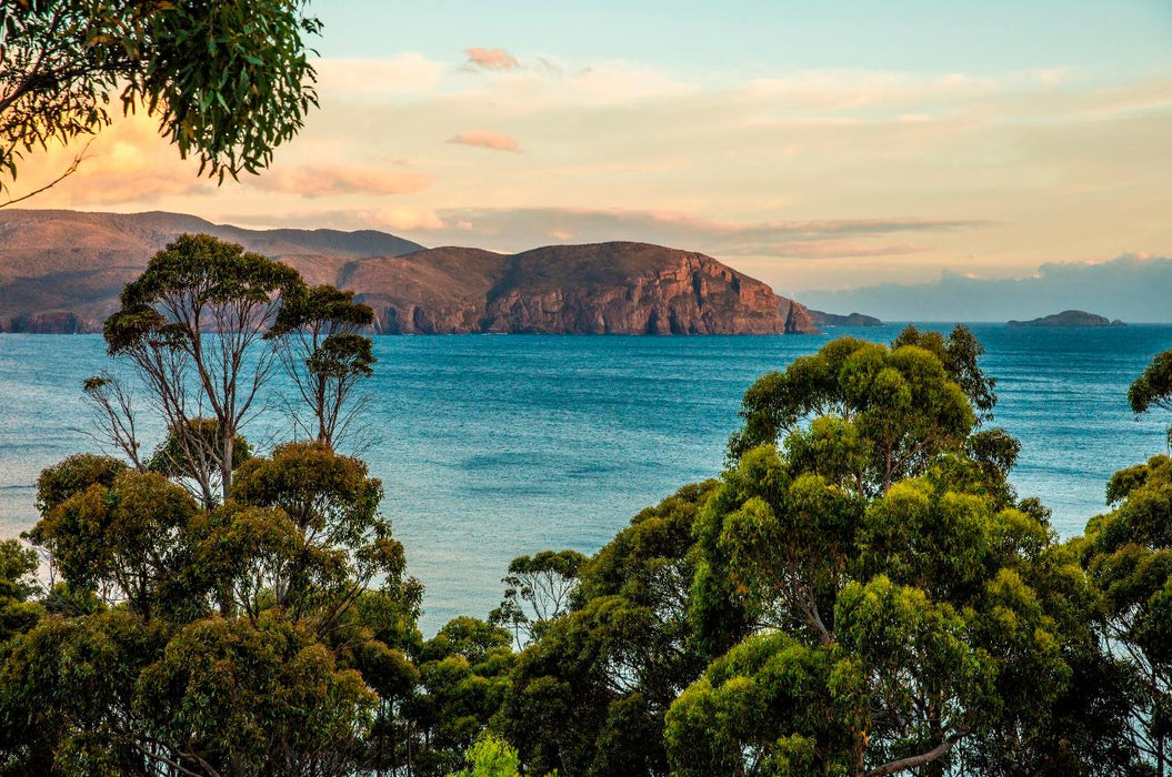 2 Day Bruny Island & Port Arthur Tour From Hobart - We Wander