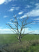 3 - Day Adelaide To Melbourne Tour - We Wander