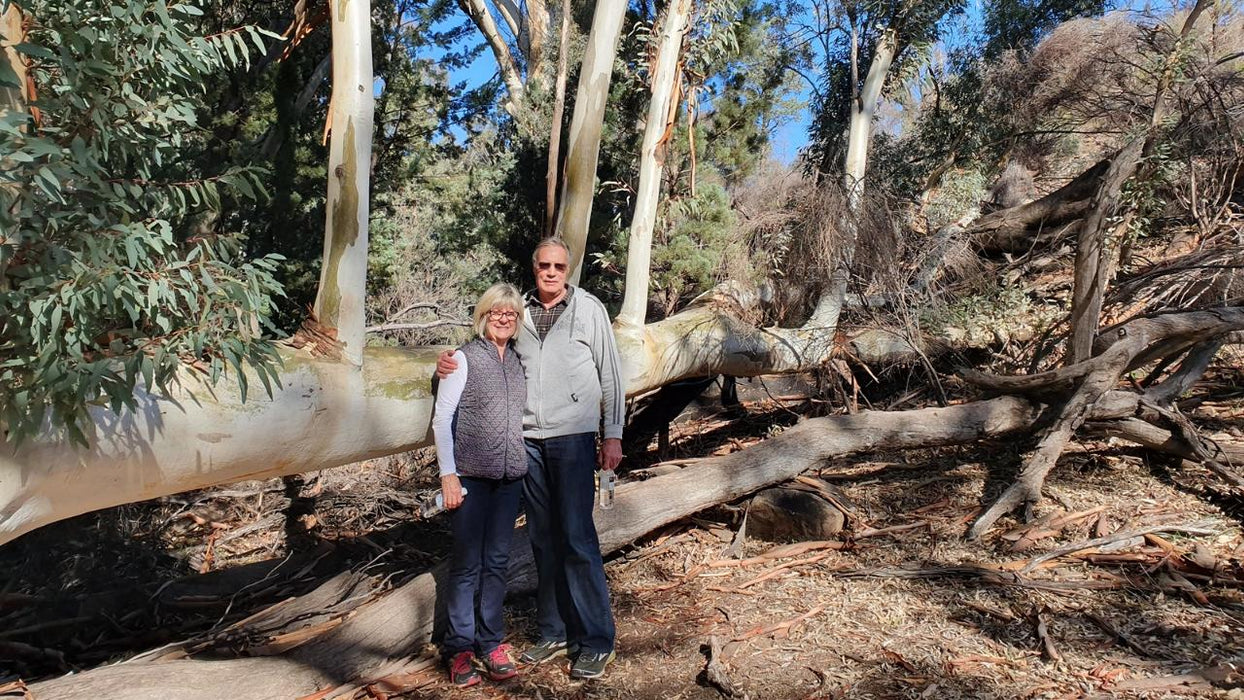 3 - Day Flinders Ranges & Outback Small Group 4Wd Eco Safari - We Wander