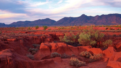 3 - Day Flinders Ranges & Outback Small Group 4Wd Eco Safari - We Wander