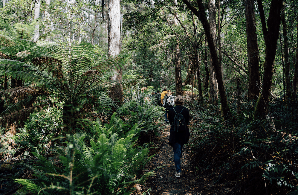 3 Day Tasmanian Highlights Tour ' Hobart, Port Arthur And Bruny Island - We Wander
