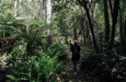 3 Day Tasmanian Highlights Tour ' Hobart, Port Arthur And Bruny Island - We Wander