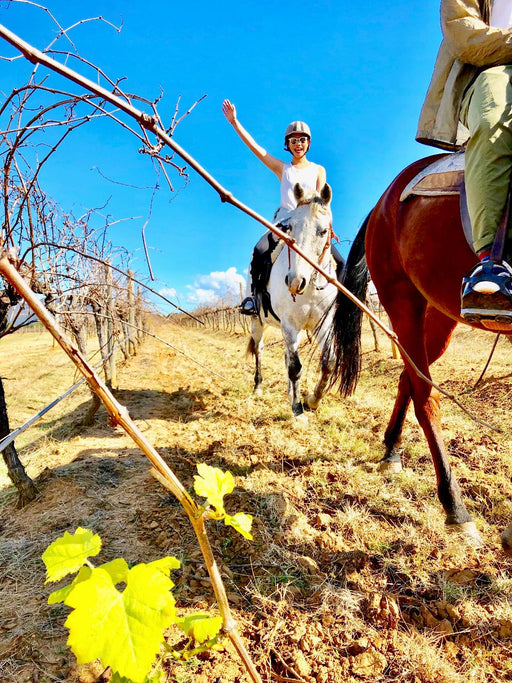 30 - Minute Family Horse Ride - Bushland Trail - We Wander