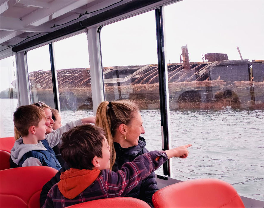 90 Minute Port River Dolphin & Ships Graveyard Cruise - We Wander