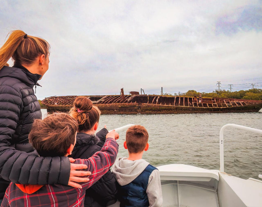 90 Minute Port River Dolphin & Ships Graveyard Cruise - We Wander