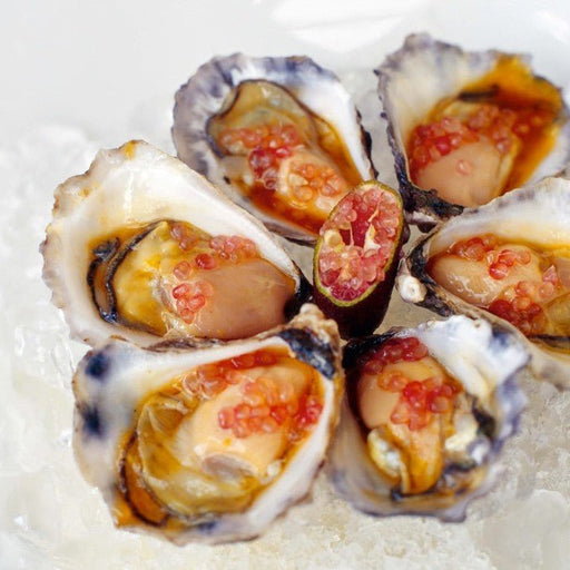 A Premier Coastal Fine Dining Experience At Fins Restaurant - We Wander