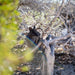 Abrolhos Islands Scenic Flyover - We Wander