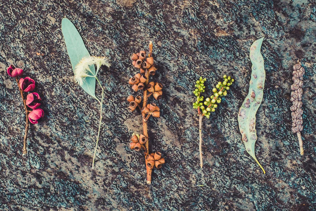 Adelaide Day Photography Course - We Wander