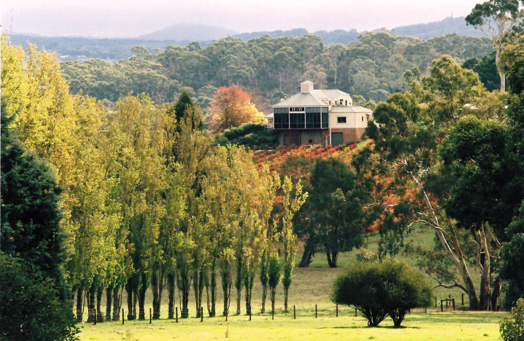 Adelaide Hills & Mclaren Vale: Intimate Small Group Wine Tour - We Wander