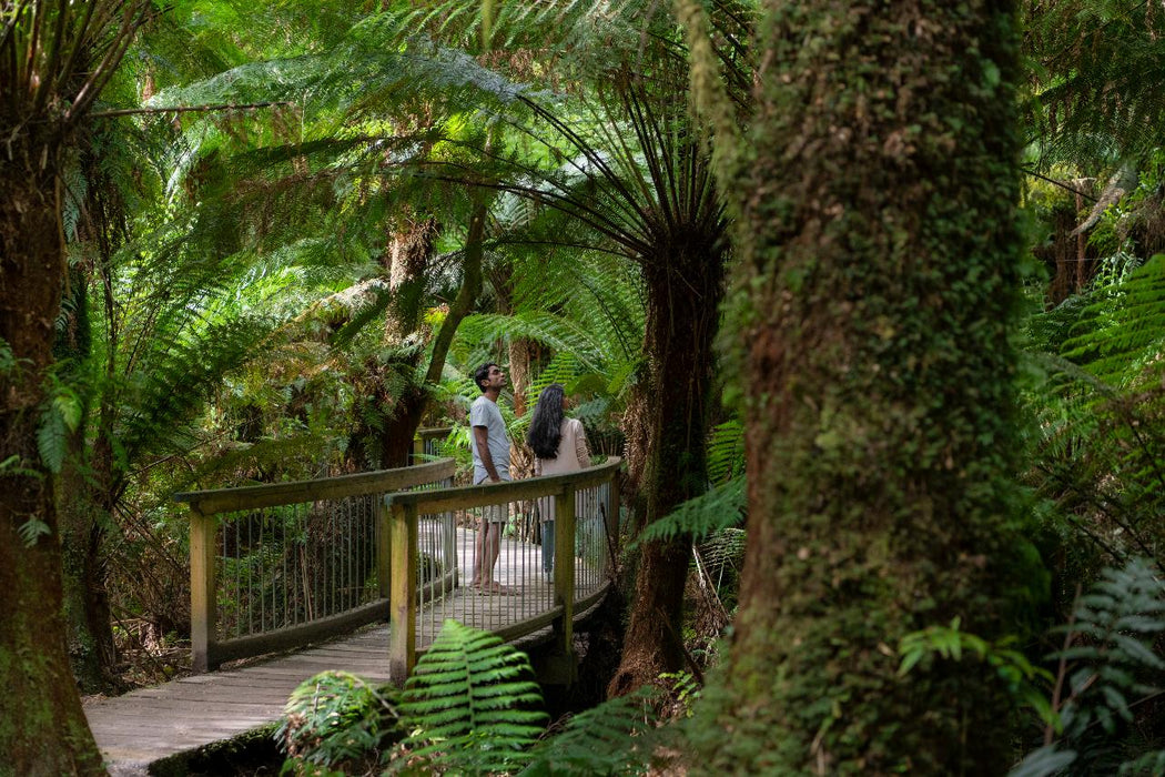 Autopia Tours: Great Ocean Road Experience - We Wander