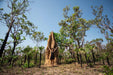 Autopia Tours: Litchfield National Park + Croc Cruise From Darwin - We Wander