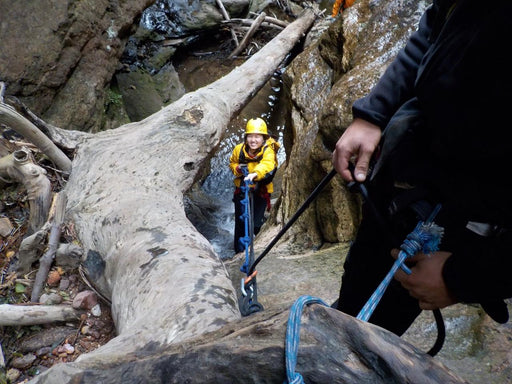 Beautiful Juggler Canyon Abseiling And Canyoning Adventure - Blue Mountains - We Wander