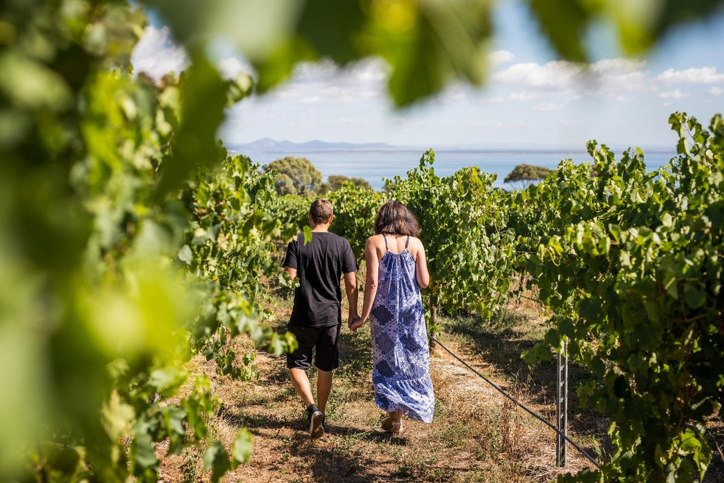 Bellarine Peninsula Food & Wine Taste Trail - We Wander