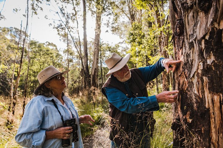 Best Of Wildlife And Birds Tour - Canberra - We Wander