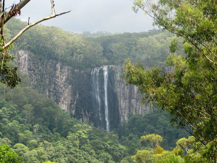 Beyond Byron Hinterland Tour - We Wander