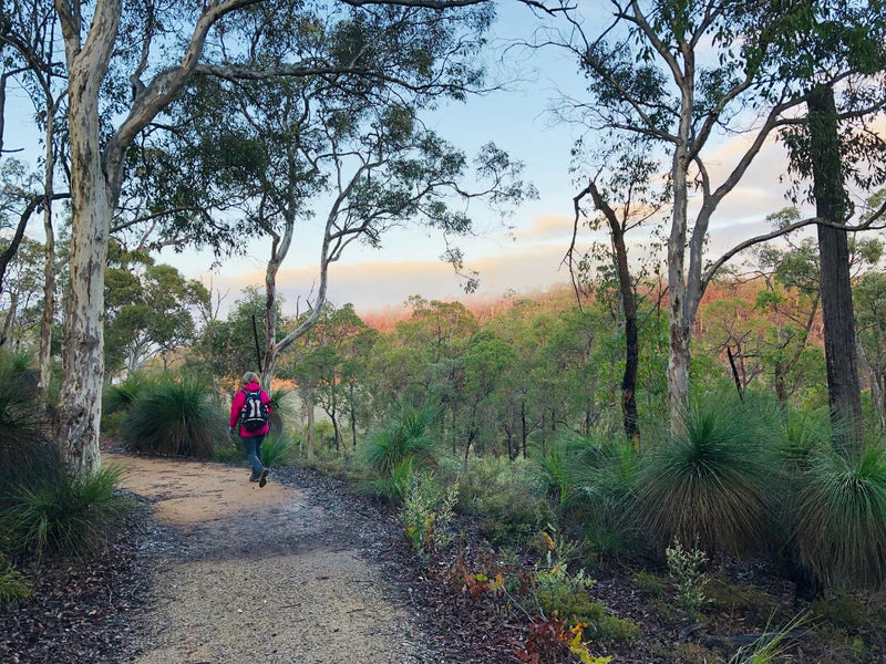 Bickley Valley Hiking Experience - We Wander