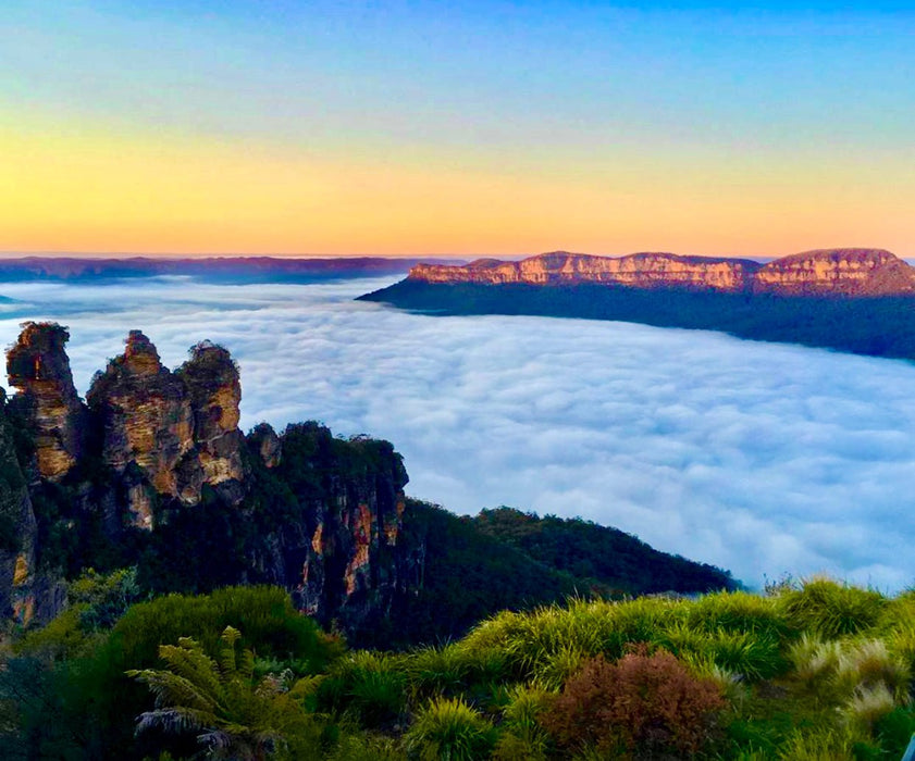 Blue Mountains Off The Beaten Track 4Wd Day Adventure Wildlife + River Cruise - We Wander