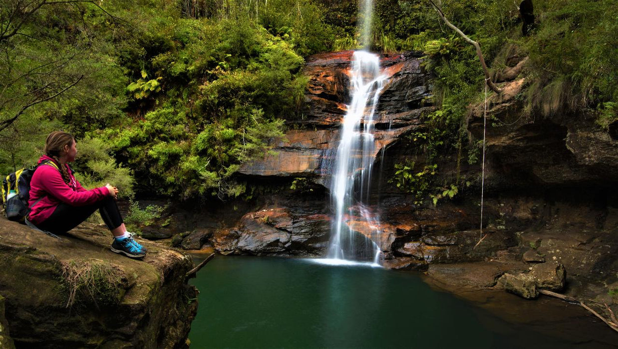 Blue Mountains Off The Beaten Track 4Wd Day Adventure Wildlife + River Cruise - We Wander