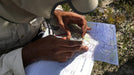 Blue Mountains Outdoor Survival Course - We Wander