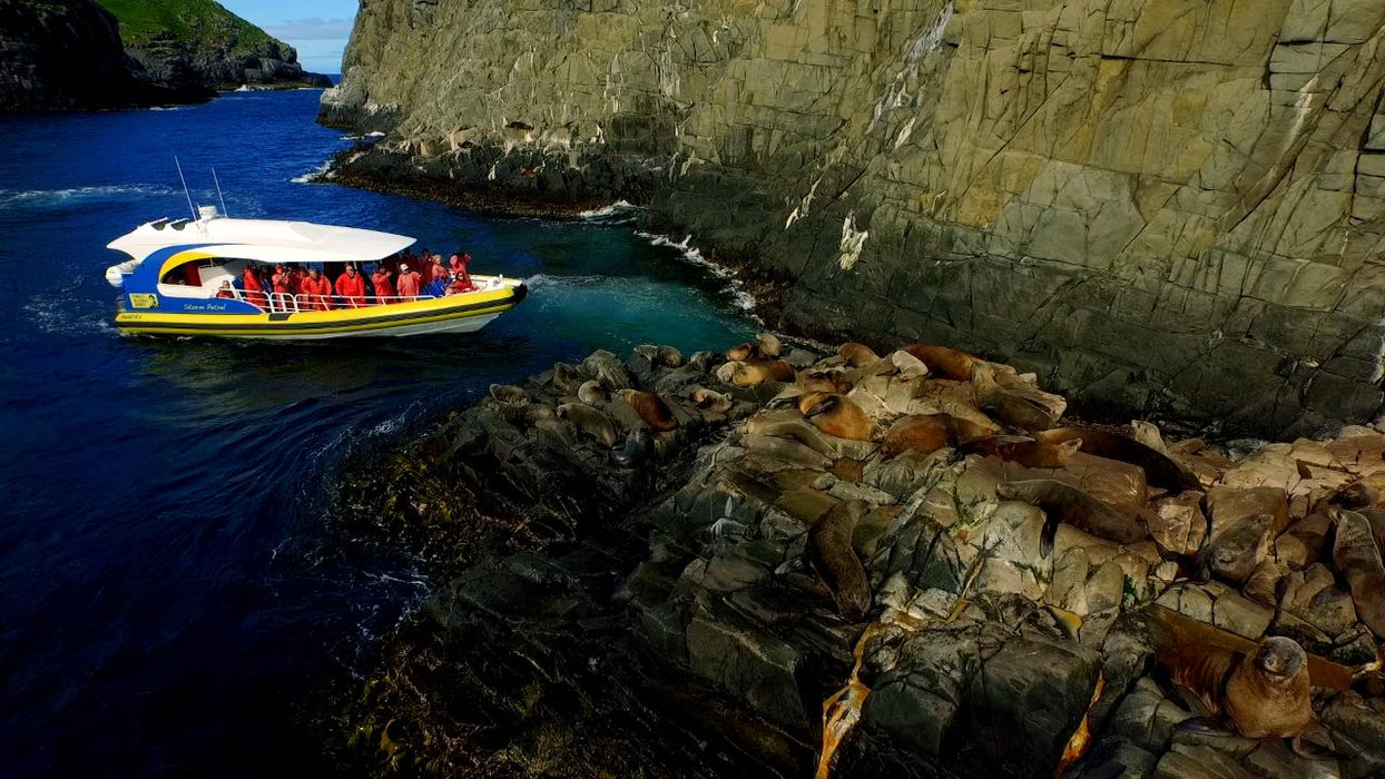 Bruny Island Cruises 3 Hour Cruise With Kettering Bus Pickup - We Wander