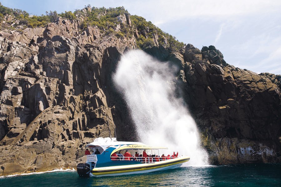 Bruny Island Cruises 3 Hour Wilderness Cruise - We Wander