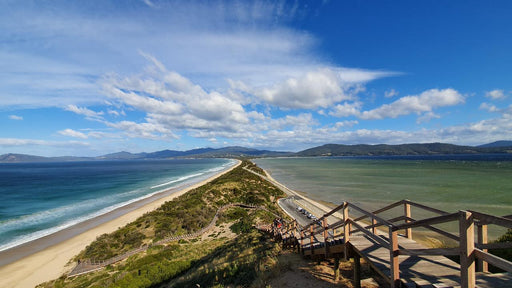 Bruny Island Day Tour - We Wander