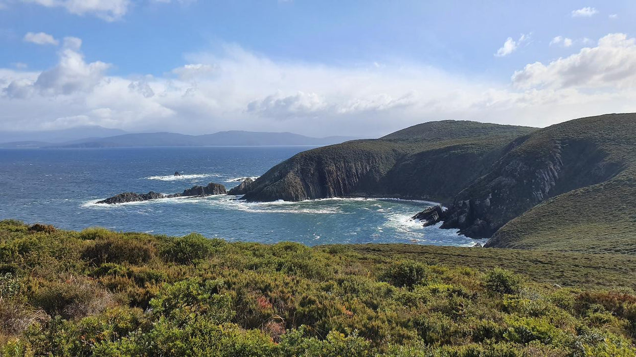 Bruny Island Day Tour - We Wander