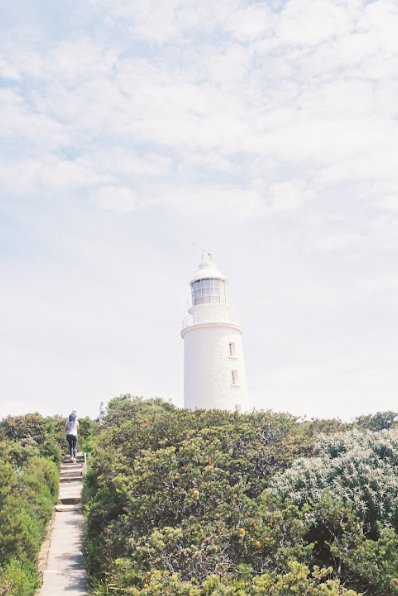 Bruny Island Day Tour - We Wander