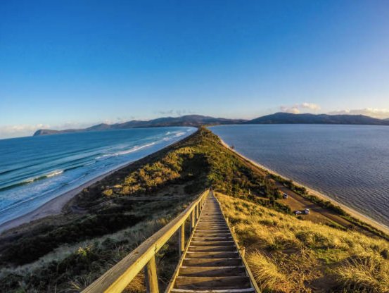 Bruny Island Day Tour - We Wander