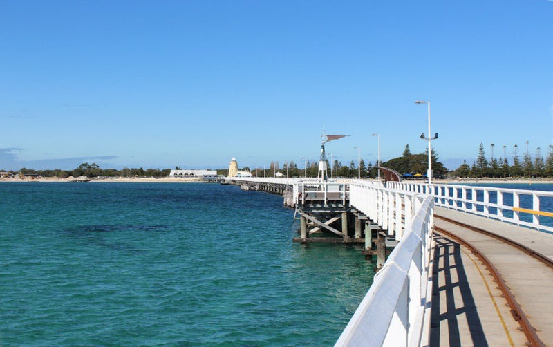 Busselton Jetty, Train Ride & Dolphin Discovery - We Wander