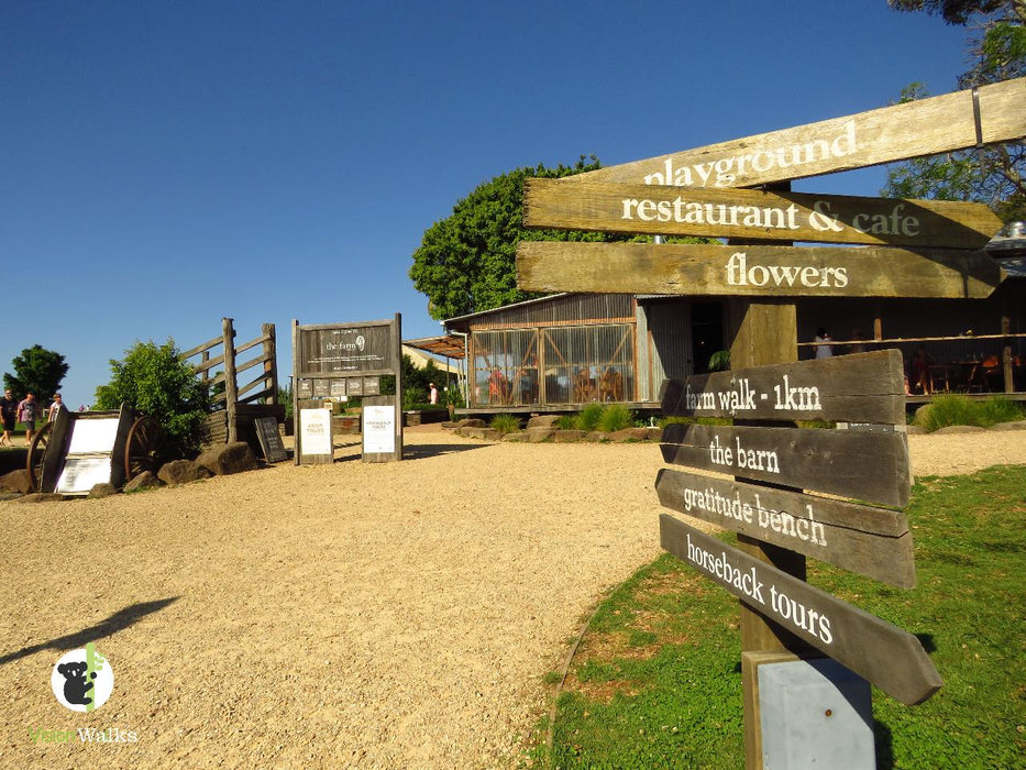 Byron Bay Tour - We Wander