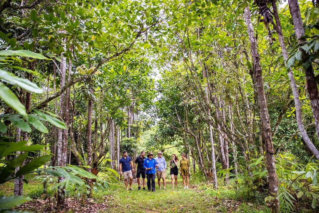 Cairns Tablelands Tasting Tour - We Wander