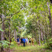 Cairns Tablelands Tasting Tour - We Wander