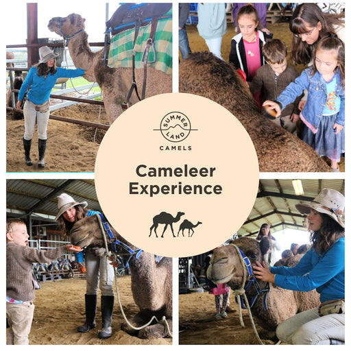 Cameleer Experience - We Wander