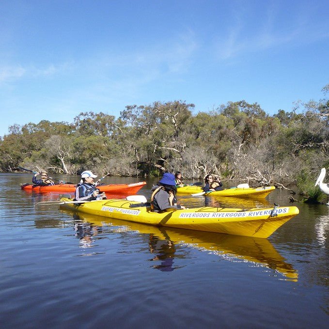 Canning River Half Day Tour - We Wander