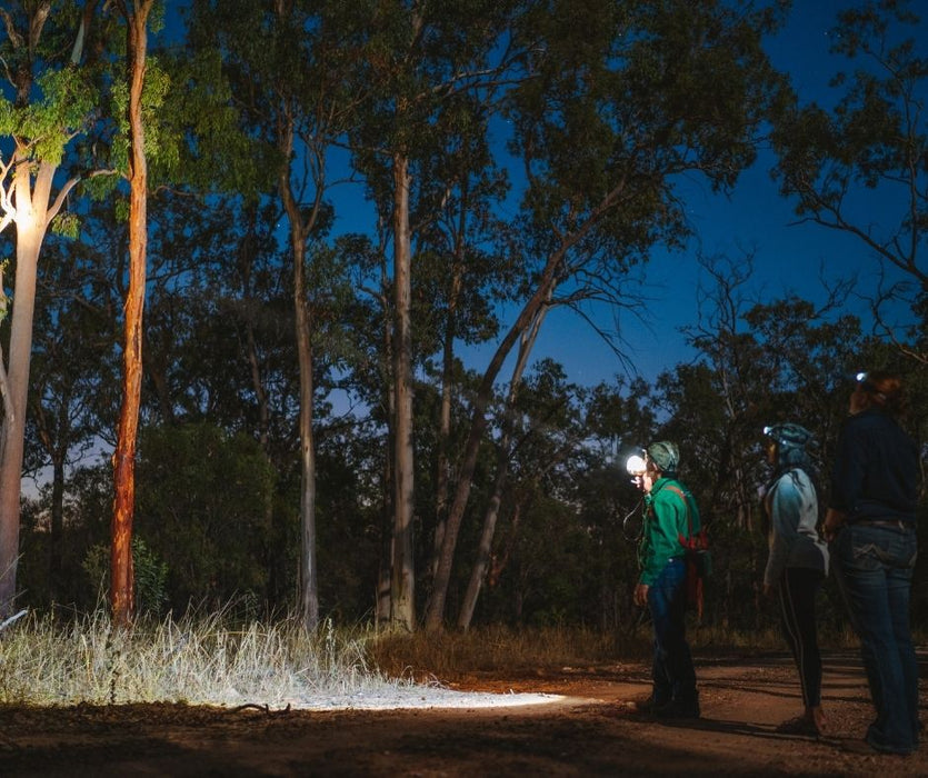 Carnarvon Walking Adventure - We Wander