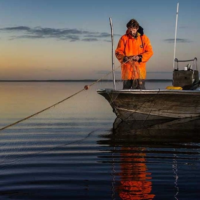 Coorong Seafood Dining Experience - We Wander