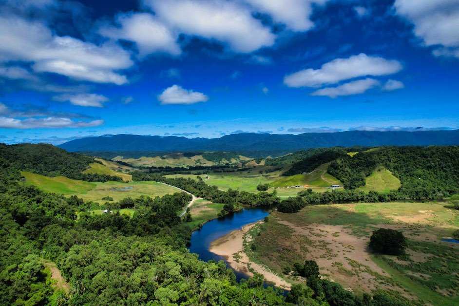 Crocodile Express Daintree Rainforest & Wildlife Cruise From Daintree Ferry Gateway - We Wander