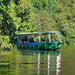 Crocodile Express Daintree Rainforest & Wildlife Cruise From Daintree Ferry Gateway - We Wander