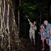 Daintree Rainforest Night Walk Tour - We Wander