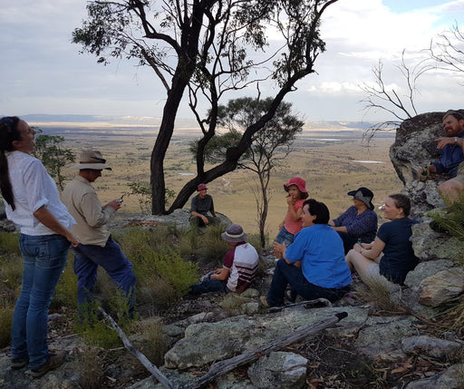 Discover Carnarvon Ranges - We Wander