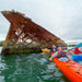 Dolphin Sanctuary & Ships Graveyard Kayak Tour - We Wander