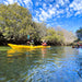 Dolphin Sanctuary & Ships Graveyard Kayak Tour - We Wander