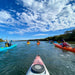 Dolphin Sanctuary & Ships Graveyard Kayak Tour - We Wander