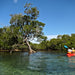 Double Kayak Rental In Brunswick River - We Wander