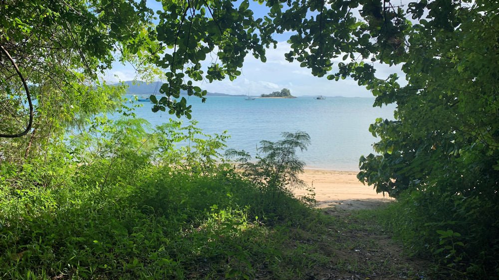 Dunk Island Adventures - Mission Beach Day Return - We Wander