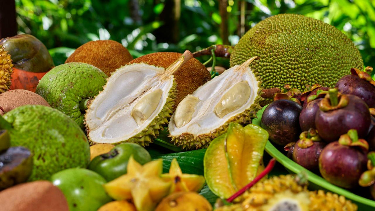 Exotic Fruit Tasting - We Wander