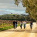 'Experience Barossa' Gourmet Food & Wine E - Bike Tour - We Wander